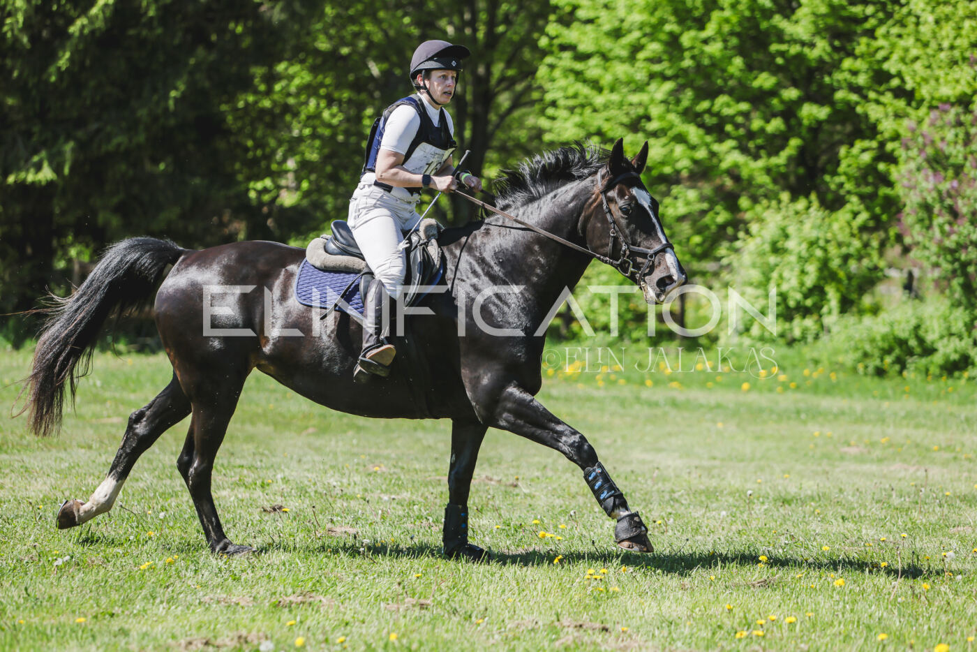 Parnu_CHI_3V_2026_CCN80_XC_357