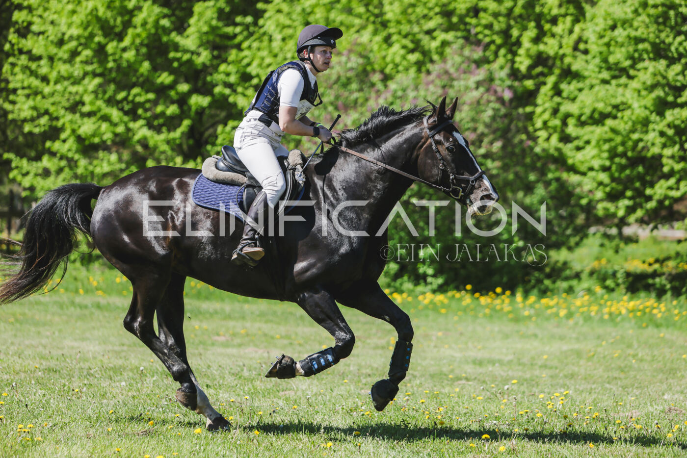 Parnu_CHI_3V_2026_CCN80_XC_358