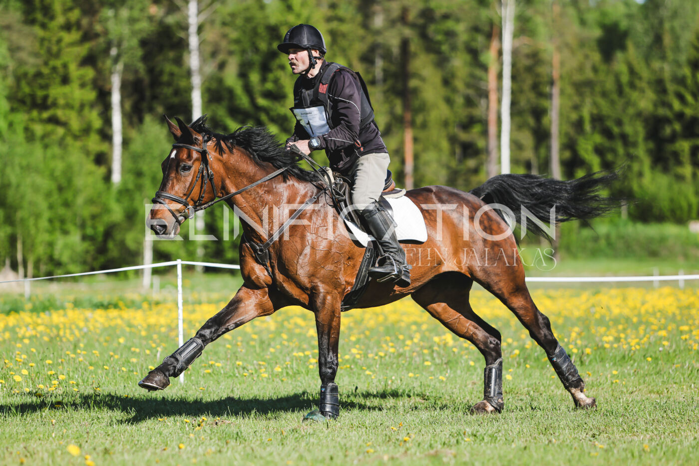 Parnu_CHI_3V_2026_CCI2-S_XC_019