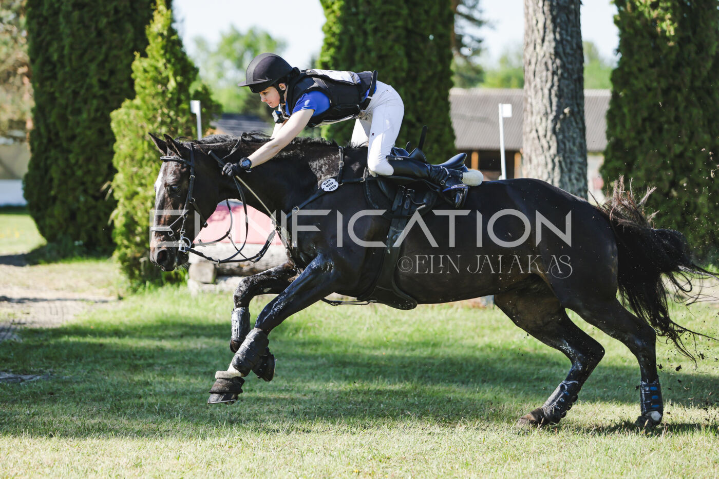 Parnu_CHI_3V_2026_CCI2-S_XC_060