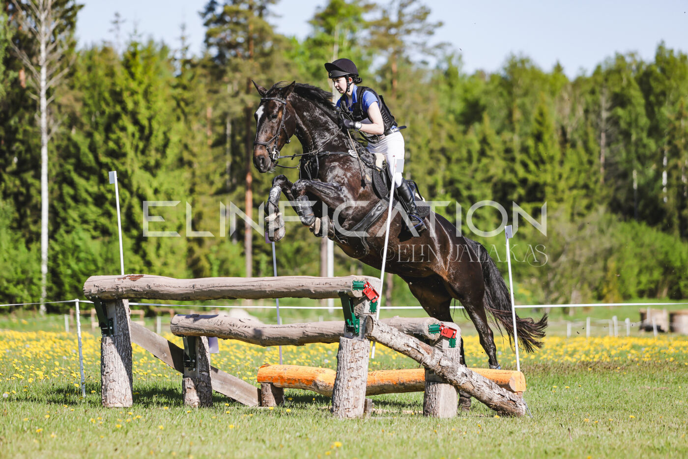 Parnu_CHI_3V_2026_CCI2-S_XC_069