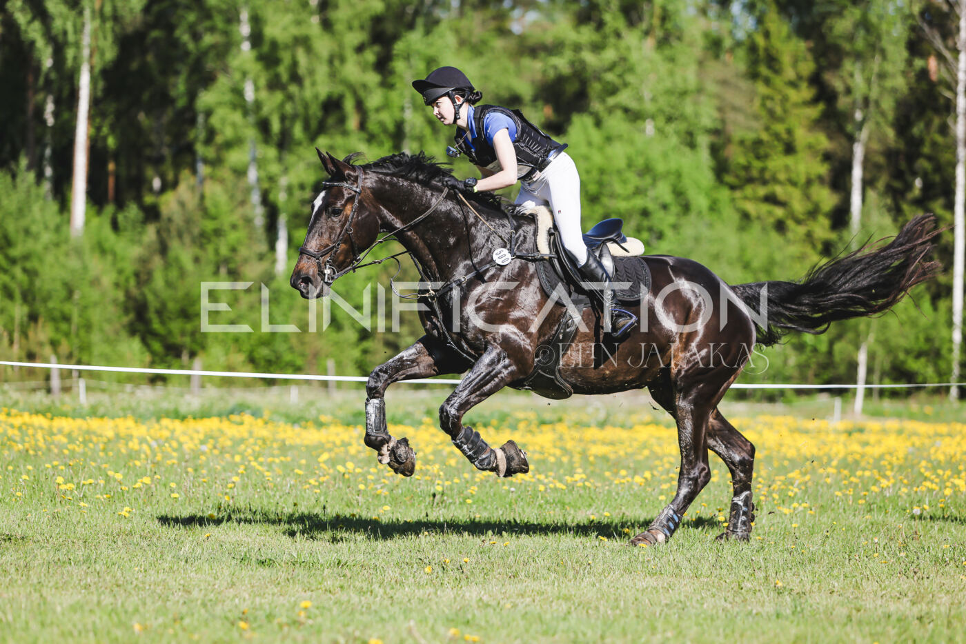 Parnu_CHI_3V_2026_CCI2-S_XC_077