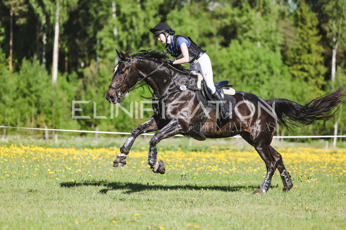 Parnu_CHI_3V_2026_CCI2-S_XC_078