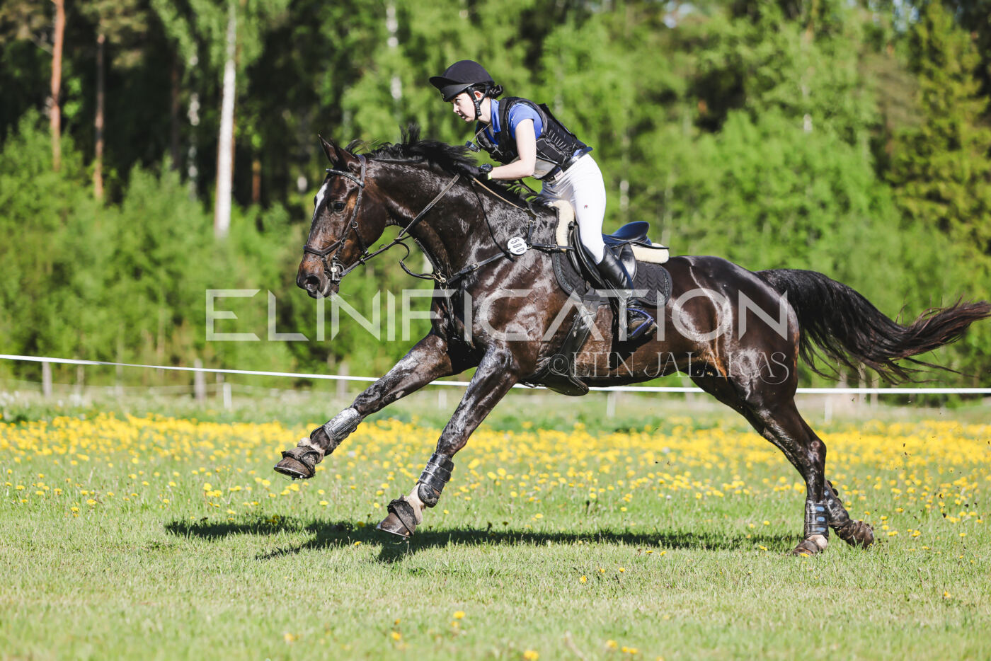 Parnu_CHI_3V_2026_CCI2-S_XC_079