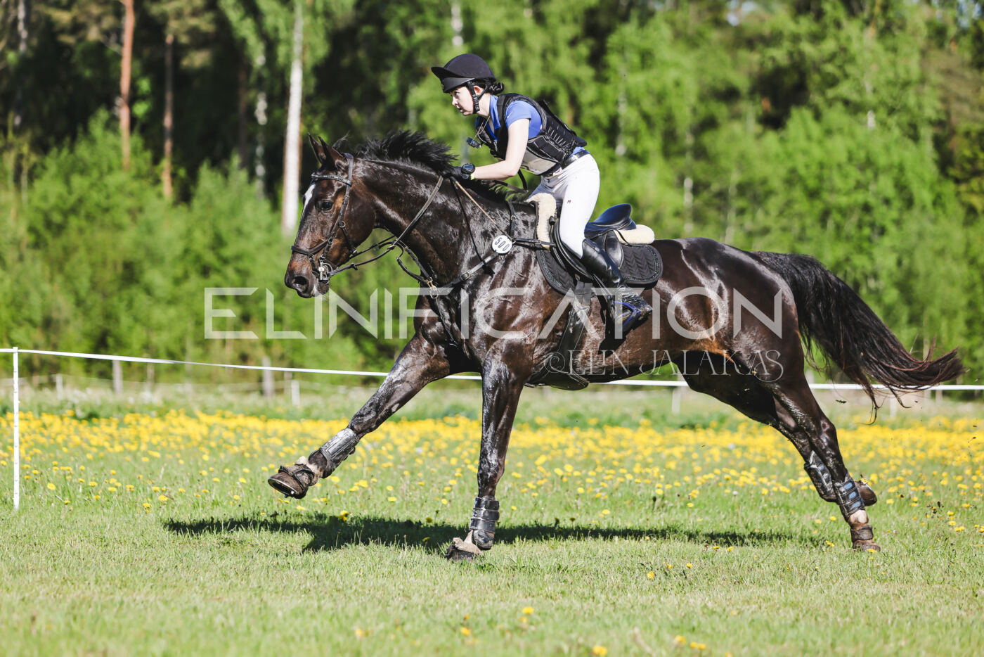 Parnu_CHI_3V_2026_CCI2-S_XC_080