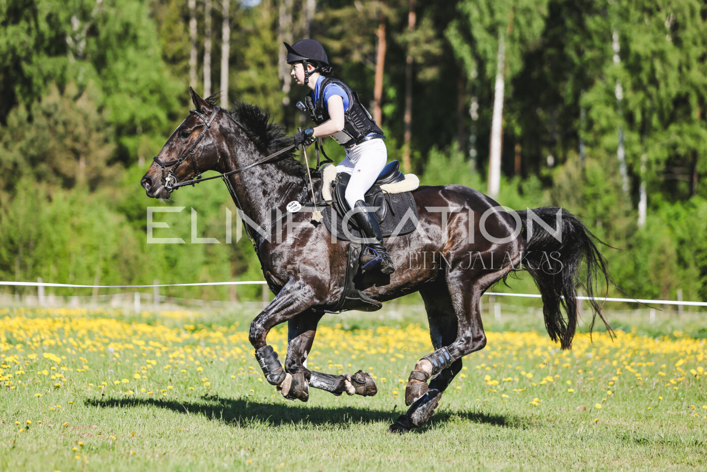 Parnu_CHI_3V_2026_CCI2-S_XC_081