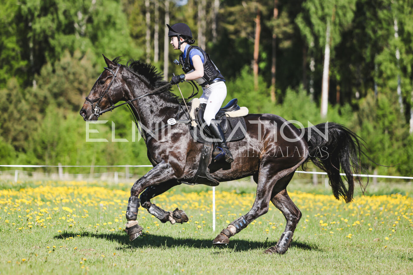 Parnu_CHI_3V_2026_CCI2-S_XC_082