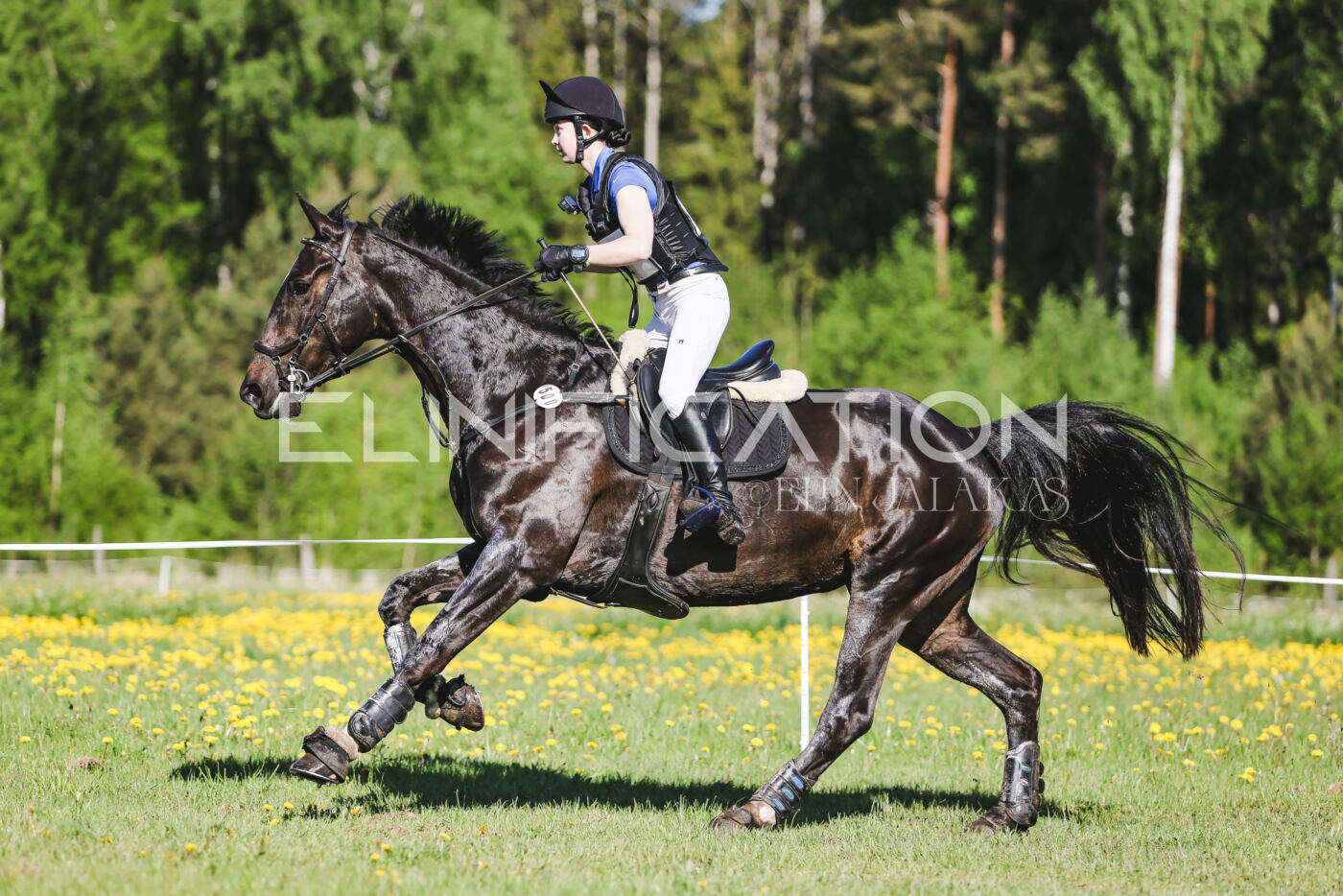 Parnu_CHI_3V_2026_CCI2-S_XC_083