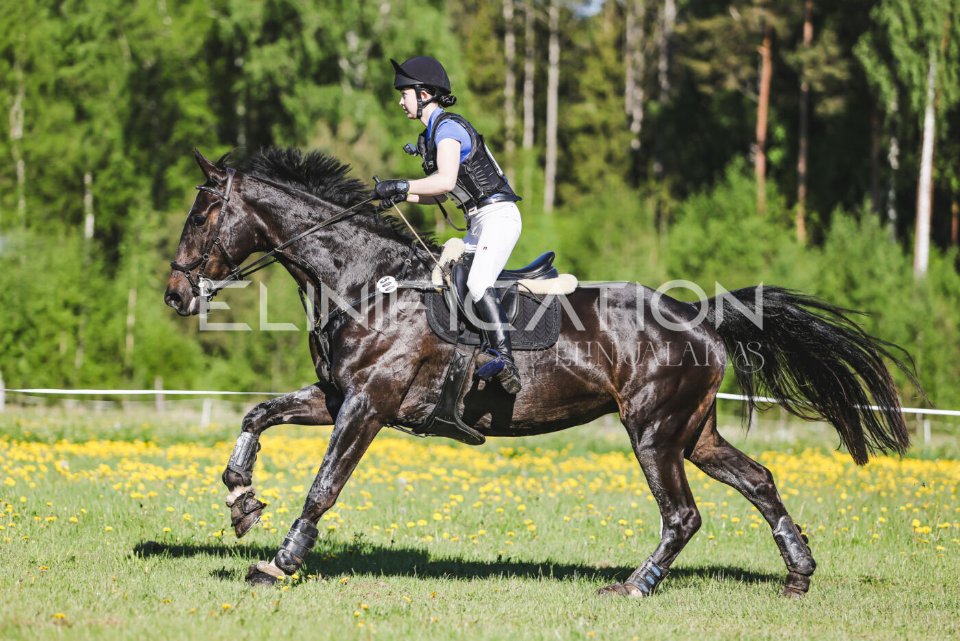 Parnu_CHI_3V_2026_CCI2-S_XC_084