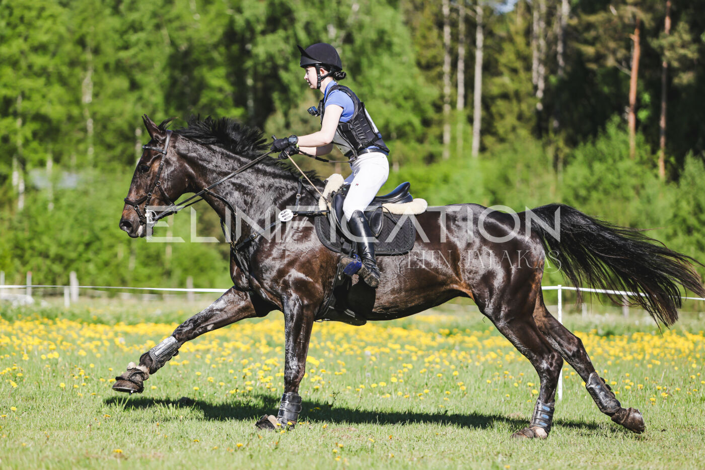 Parnu_CHI_3V_2026_CCI2-S_XC_085