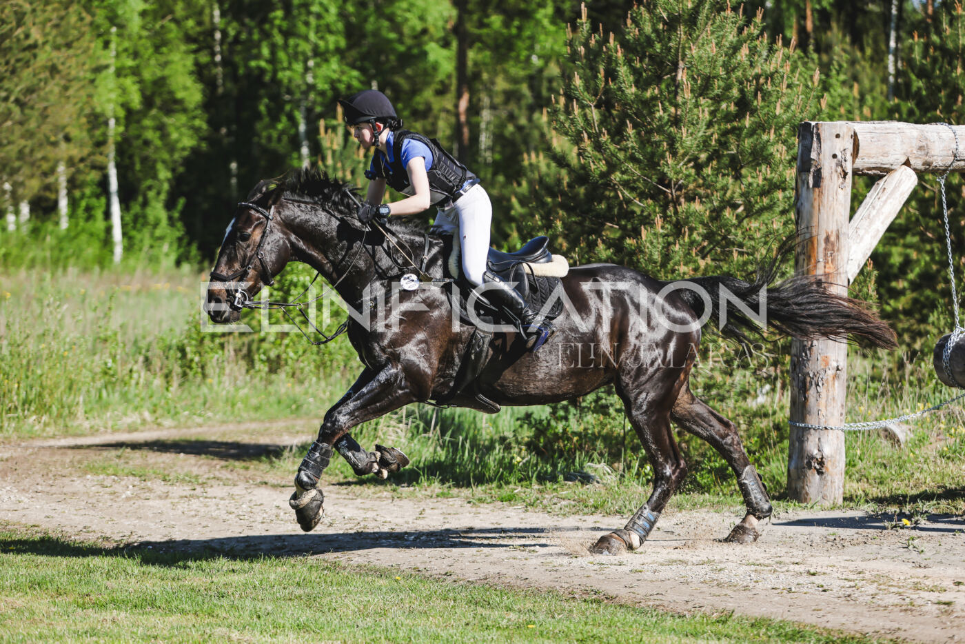 Parnu_CHI_3V_2026_CCI2-S_XC_106