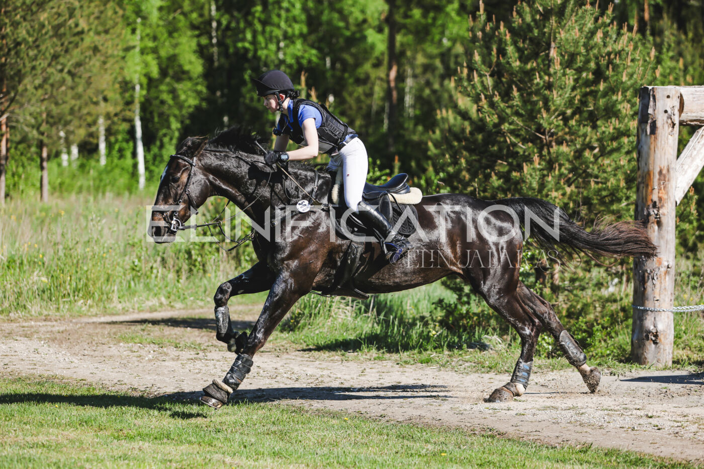 Parnu_CHI_3V_2026_CCI2-S_XC_107