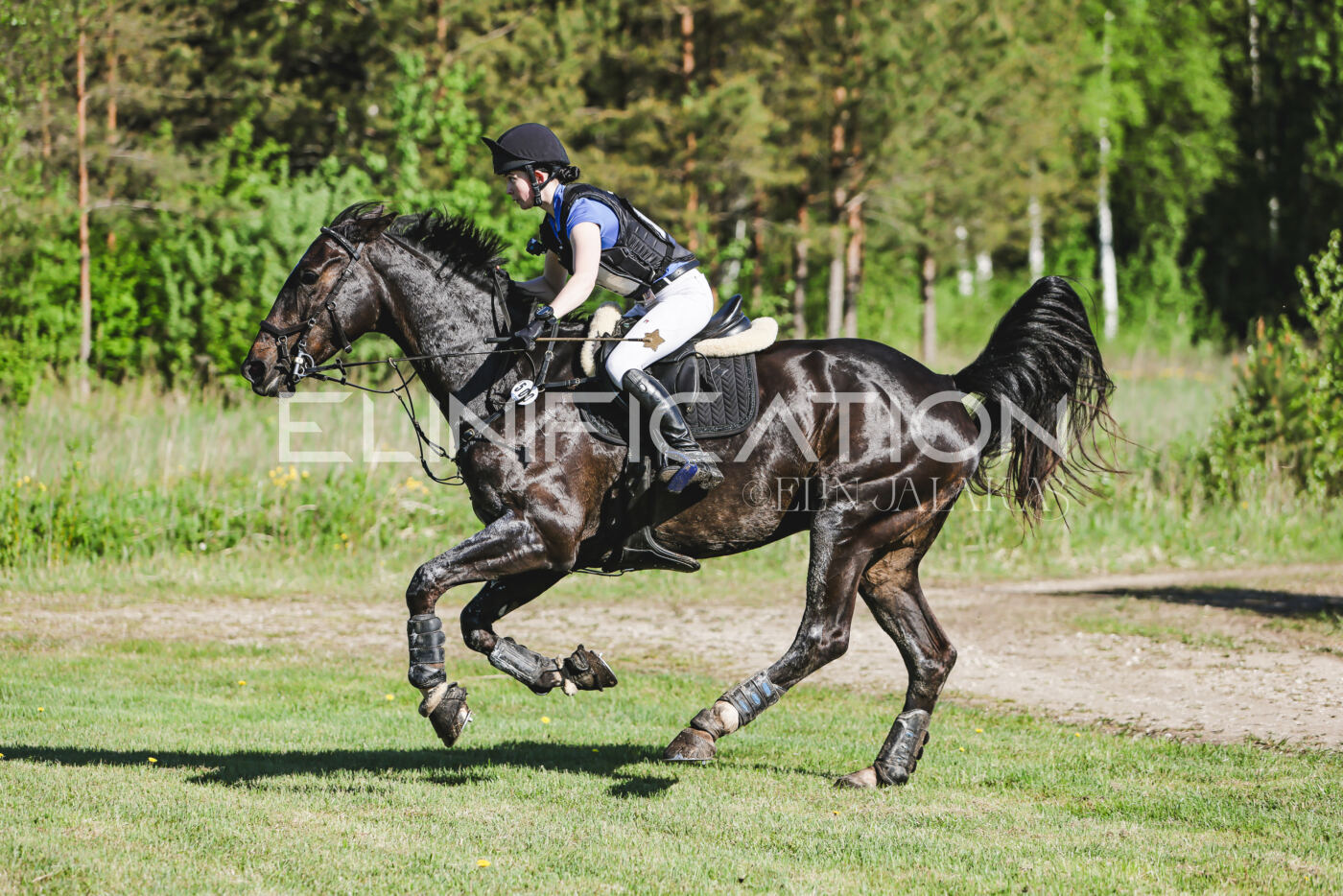 Parnu_CHI_3V_2026_CCI2-S_XC_110