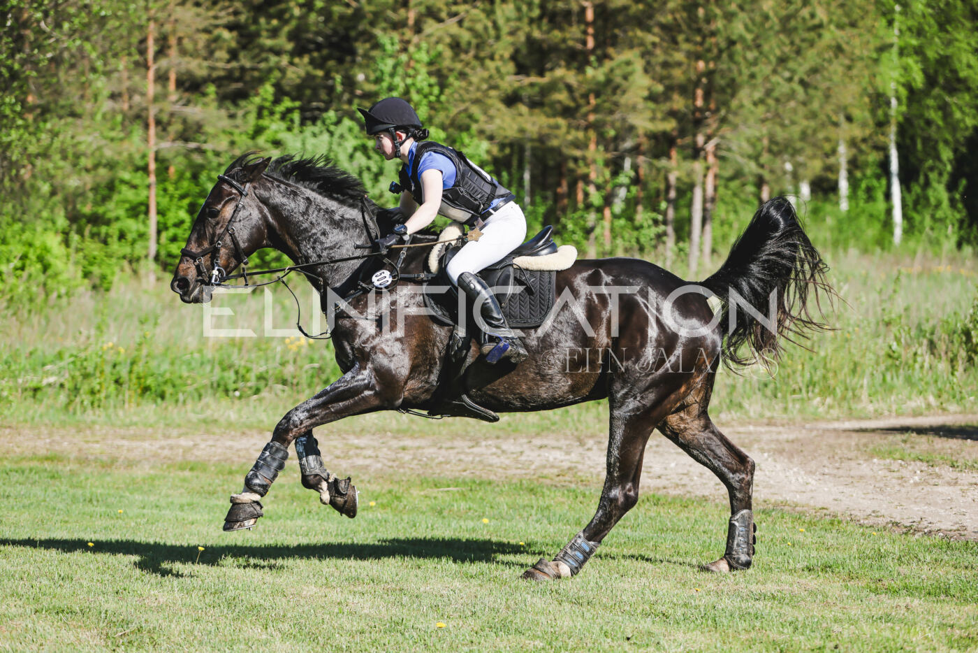 Parnu_CHI_3V_2026_CCI2-S_XC_111