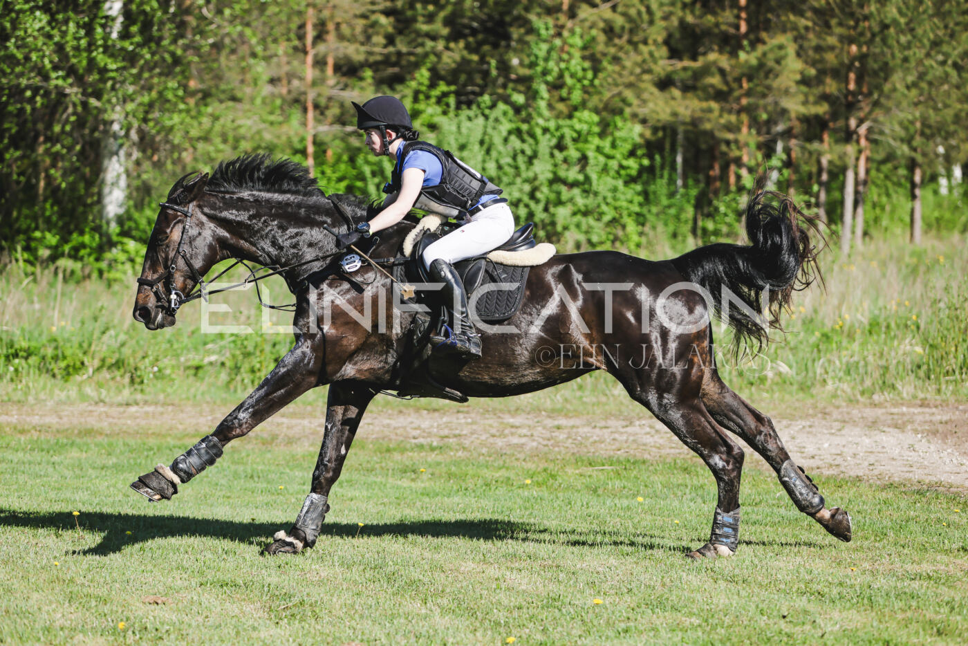 Parnu_CHI_3V_2026_CCI2-S_XC_113