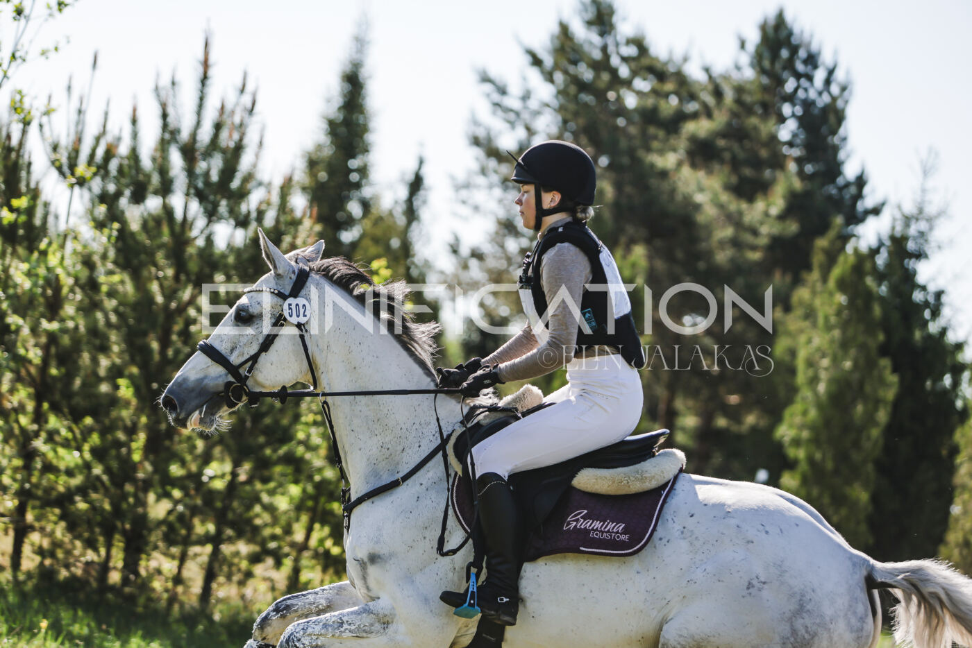 Parnu_CHI_3V_2026_CCI2-S_XC_130