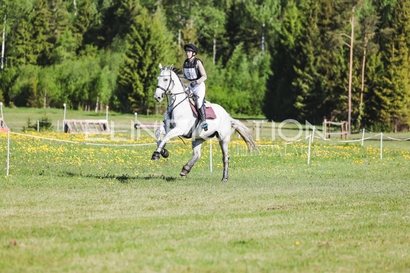 Parnu_CHI_3V_2026_CCI2-S_XC_131
