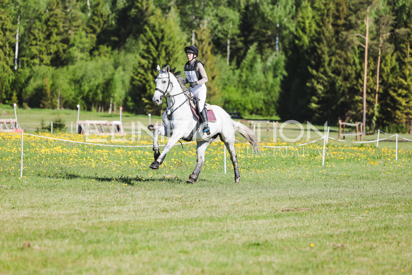 Parnu_CHI_3V_2026_CCI2-S_XC_132