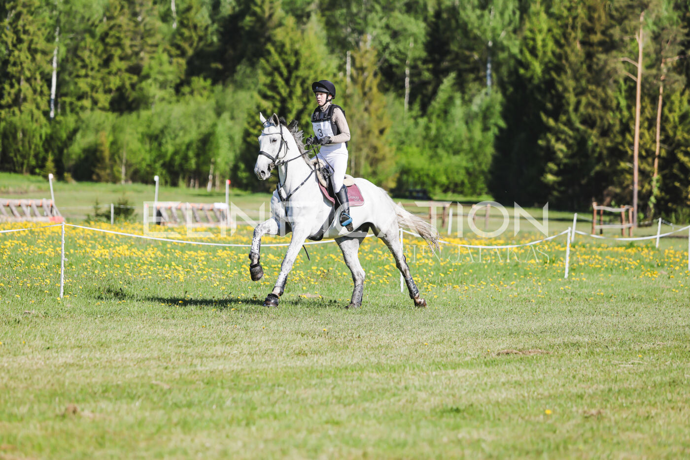 Parnu_CHI_3V_2026_CCI2-S_XC_133