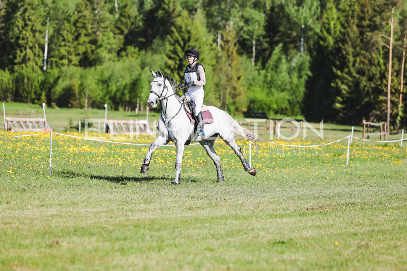 Parnu_CHI_3V_2026_CCI2-S_XC_134