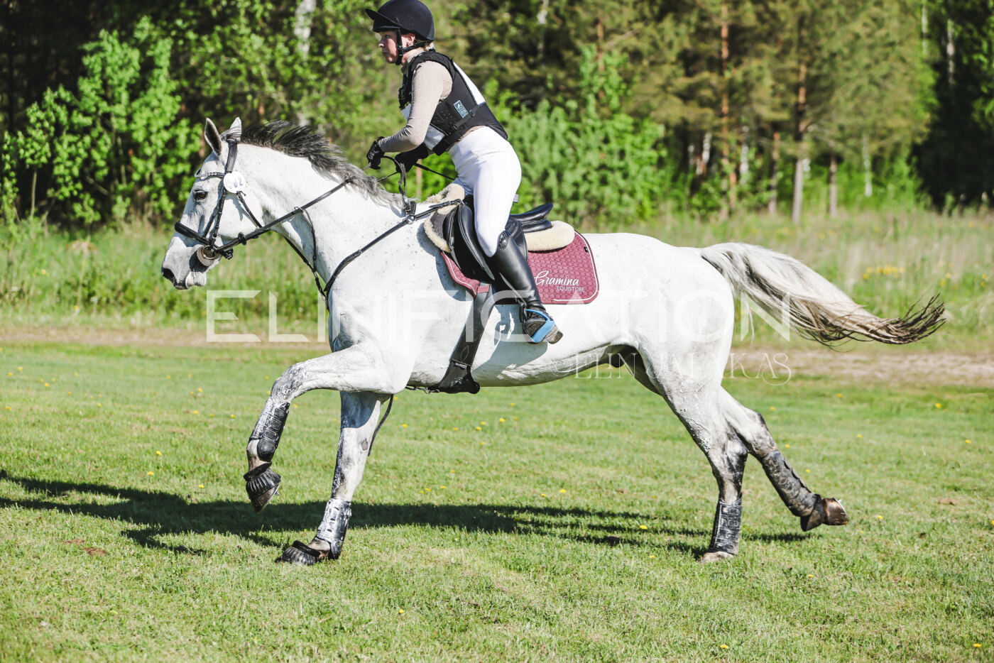 Parnu_CHI_3V_2026_CCI2-S_XC_191