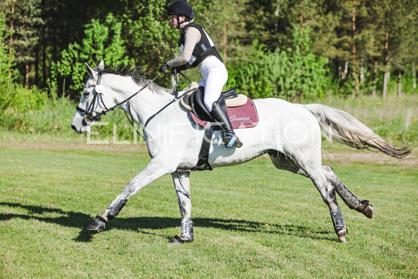 Parnu_CHI_3V_2026_CCI2-S_XC_192