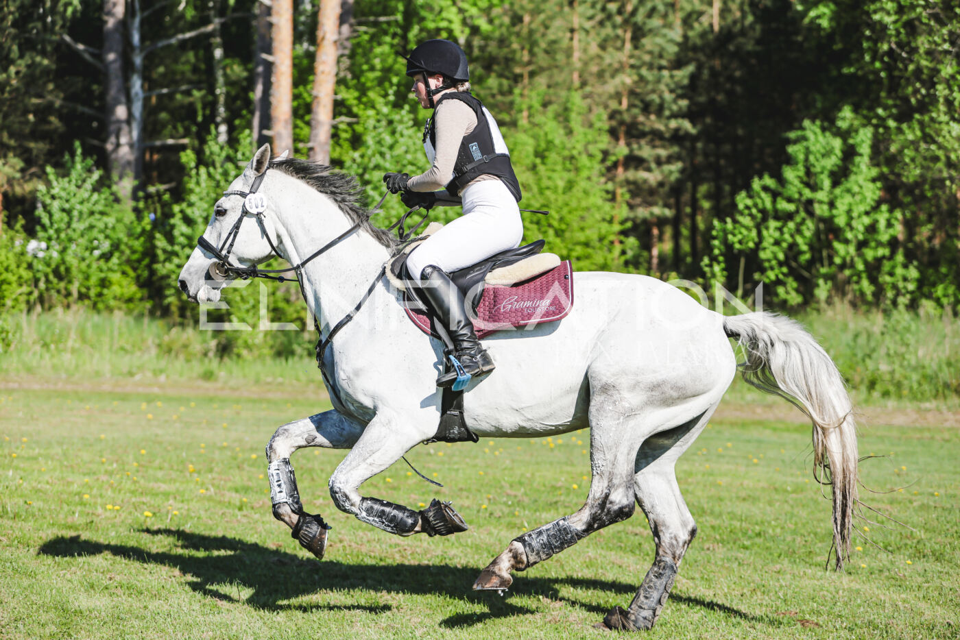 Parnu_CHI_3V_2026_CCI2-S_XC_193