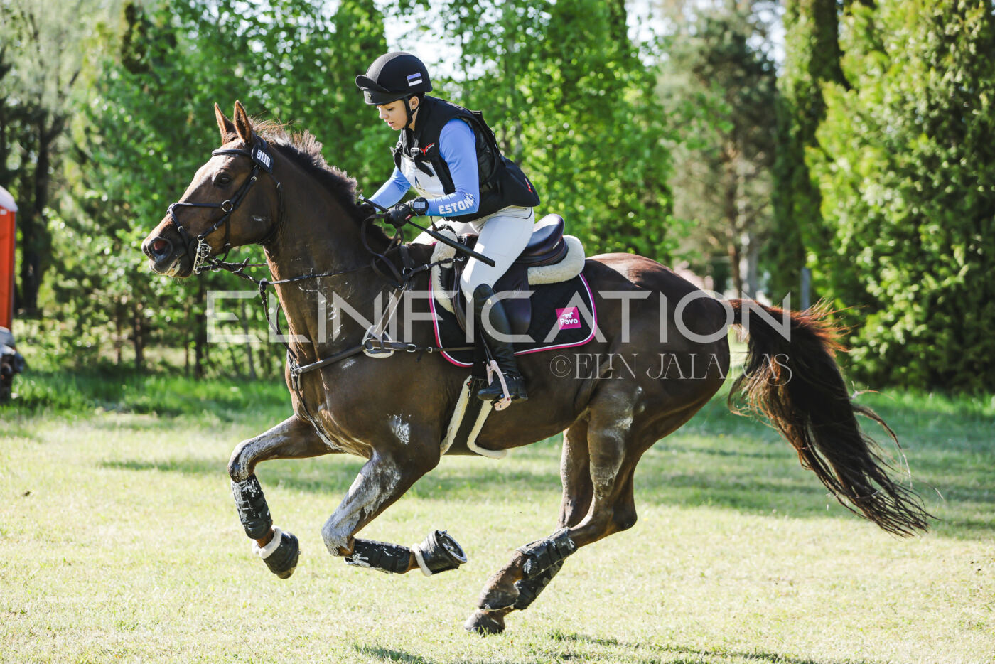 Parnu_CHI_3V_2026_CCI2-S_XC_205