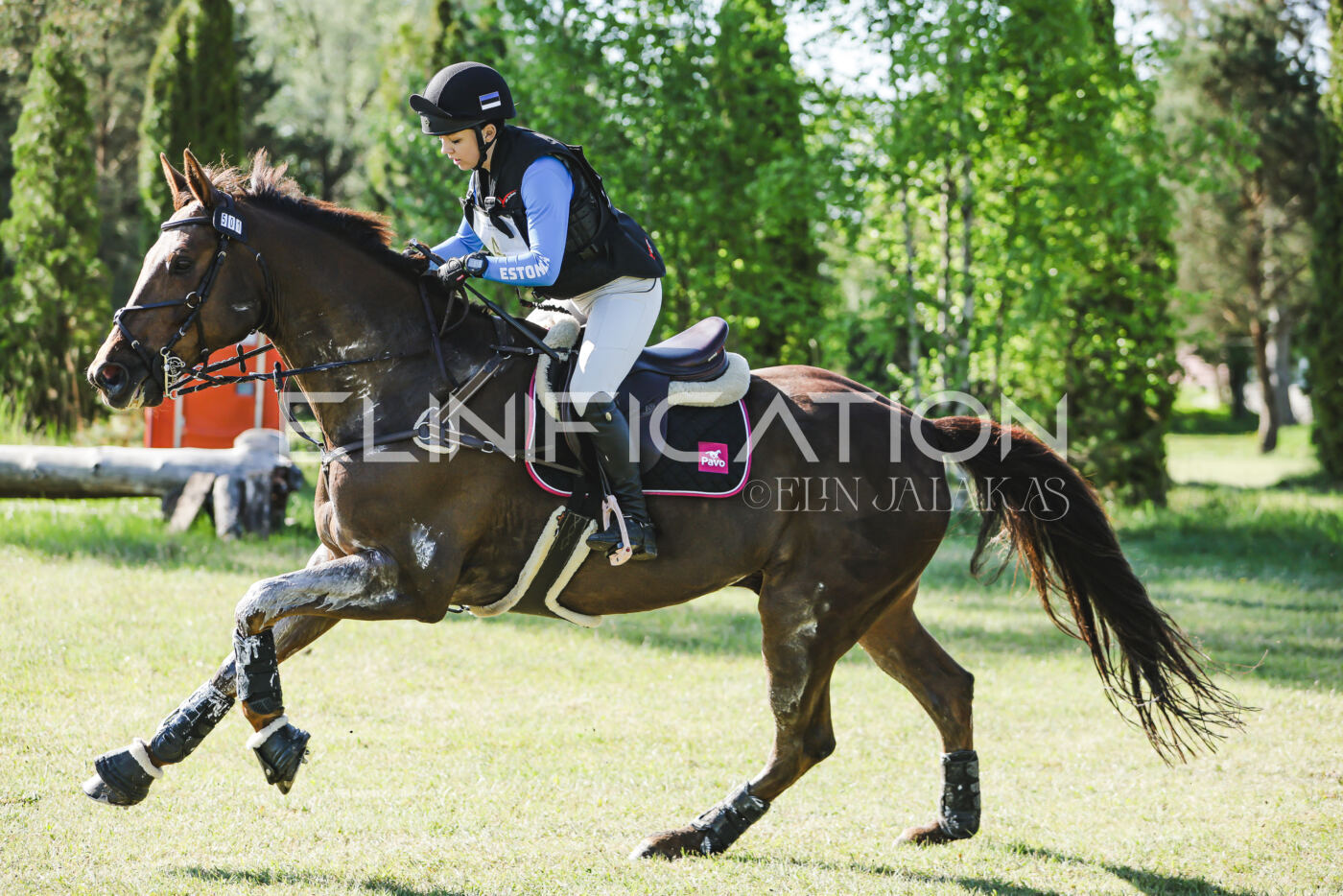 Parnu_CHI_3V_2026_CCI2-S_XC_207