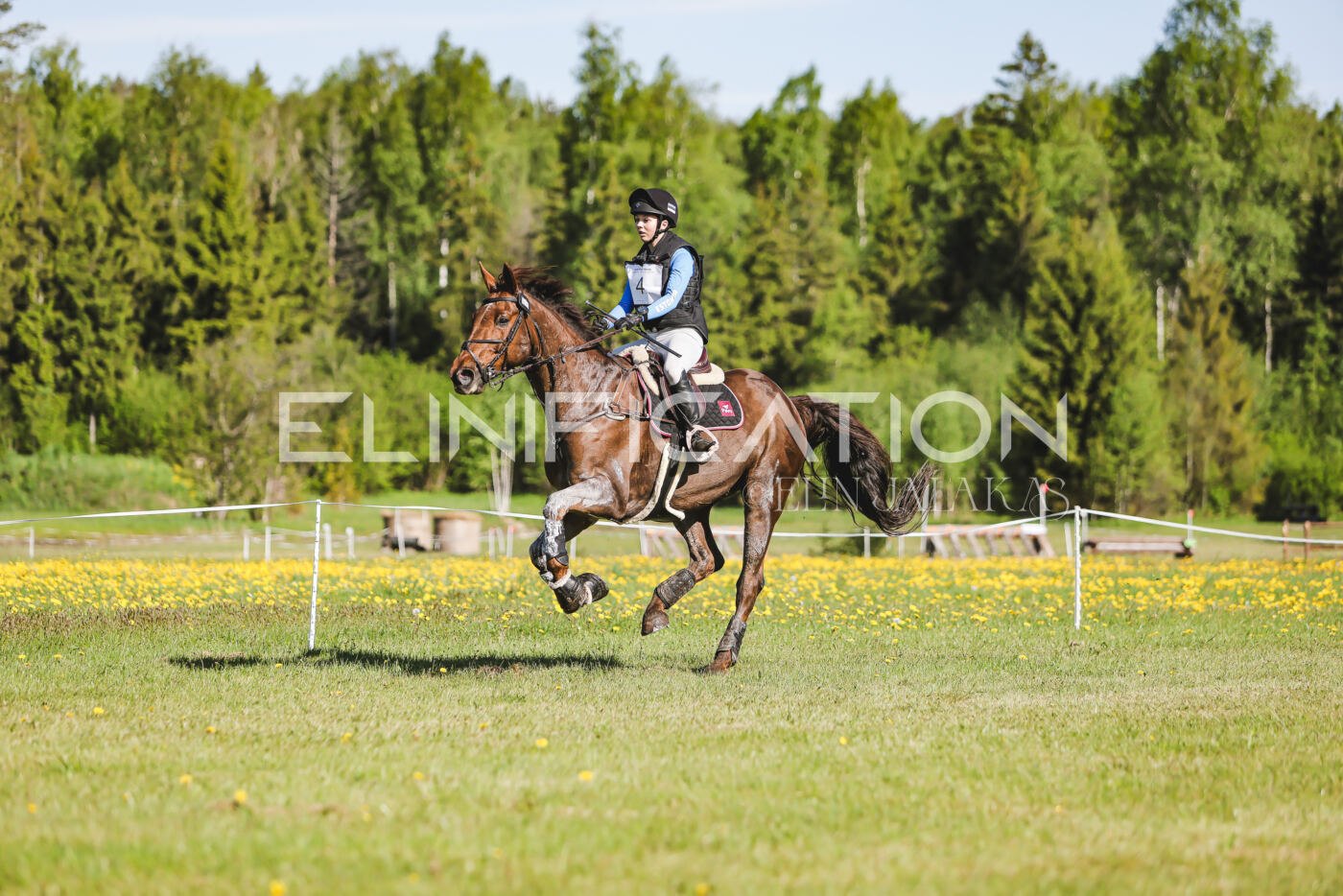 Parnu_CHI_3V_2026_CCI2-S_XC_208