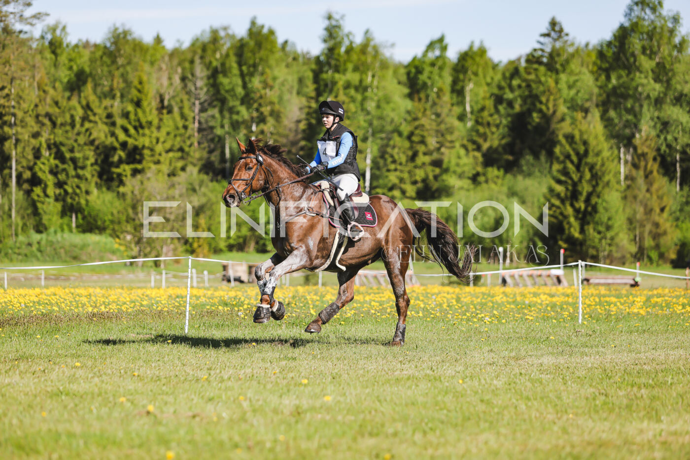 Parnu_CHI_3V_2026_CCI2-S_XC_209
