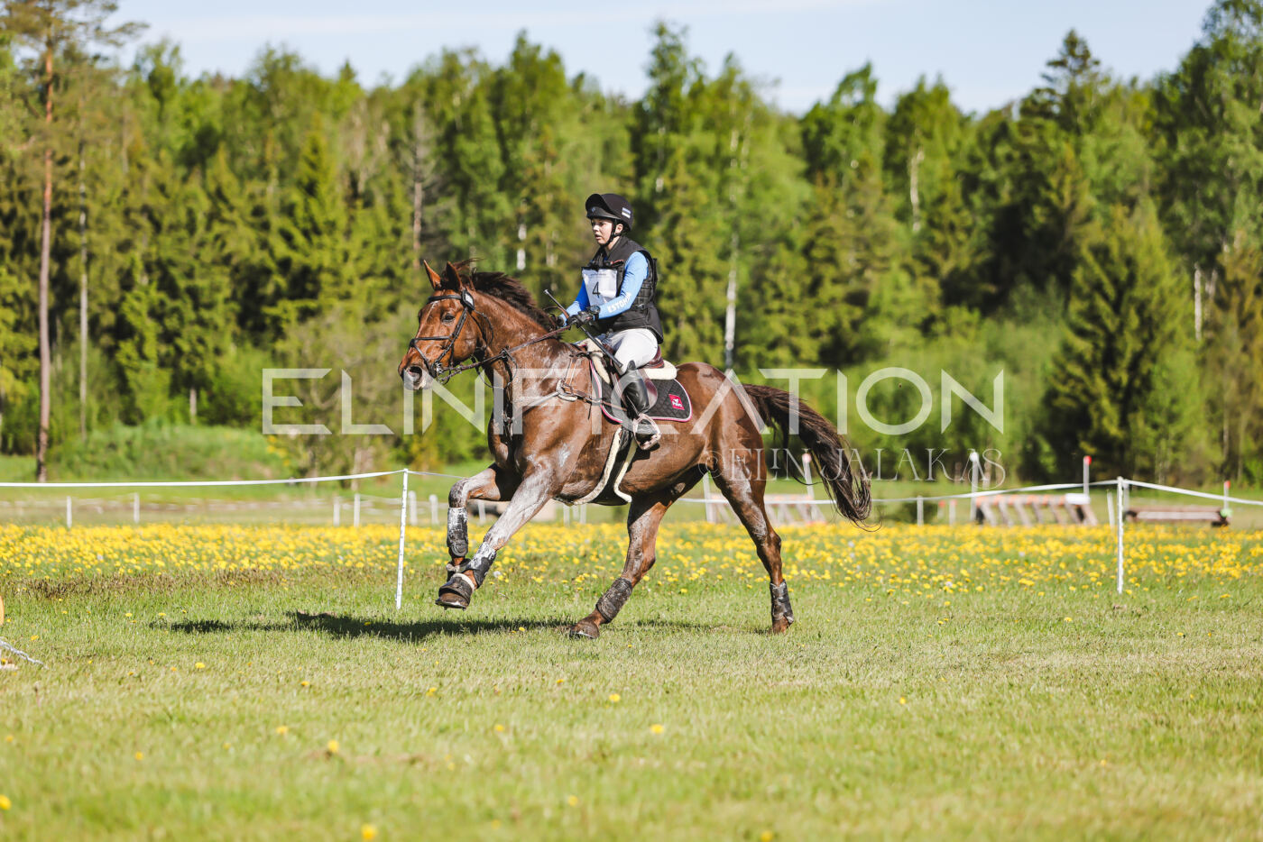 Parnu_CHI_3V_2026_CCI2-S_XC_210