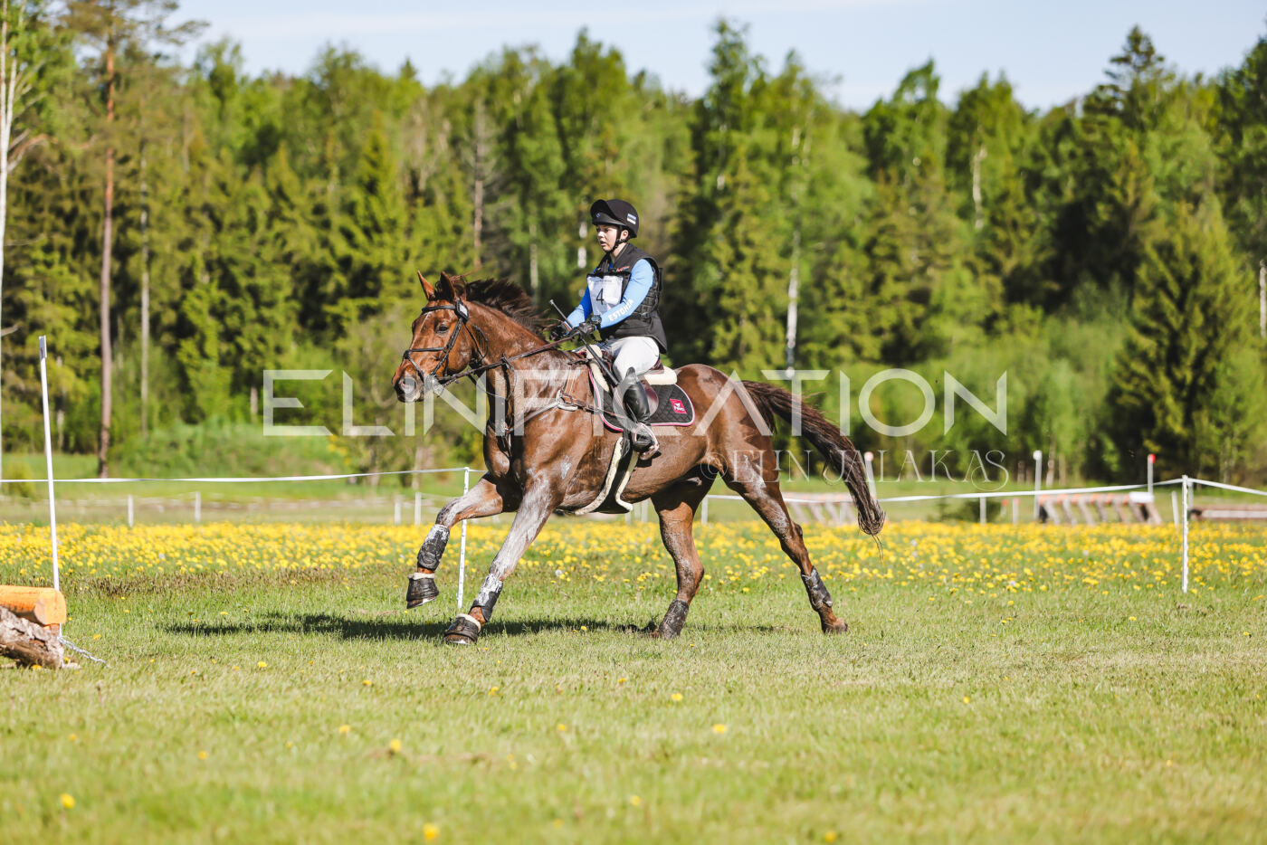 Parnu_CHI_3V_2026_CCI2-S_XC_211