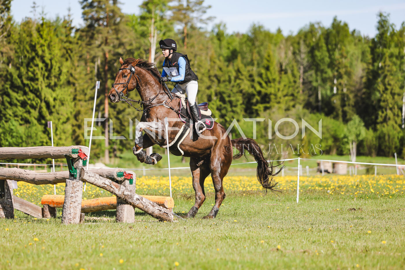 Parnu_CHI_3V_2026_CCI2-S_XC_212