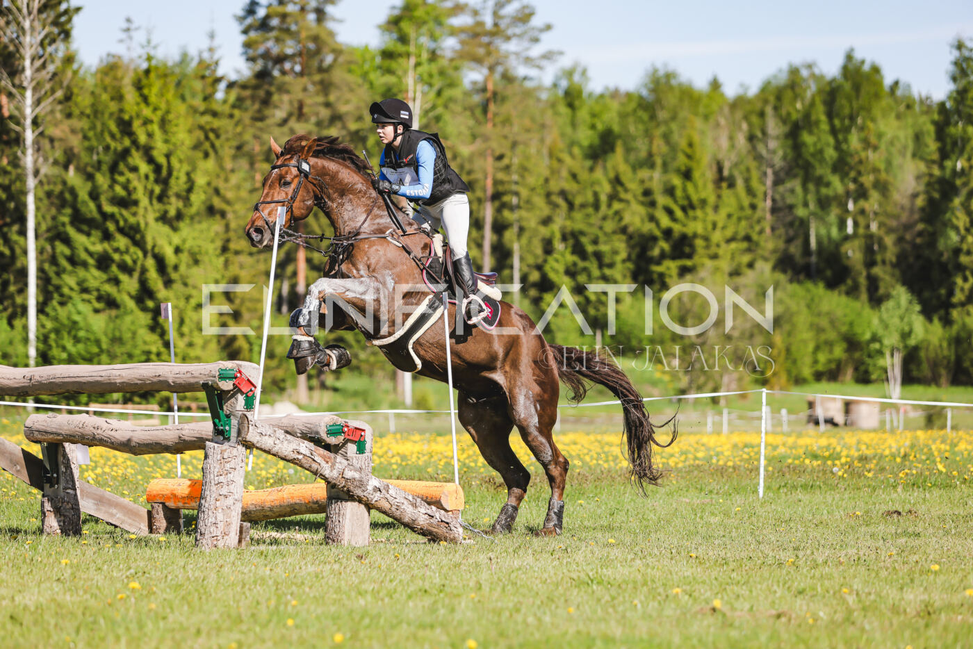 Parnu_CHI_3V_2026_CCI2-S_XC_213