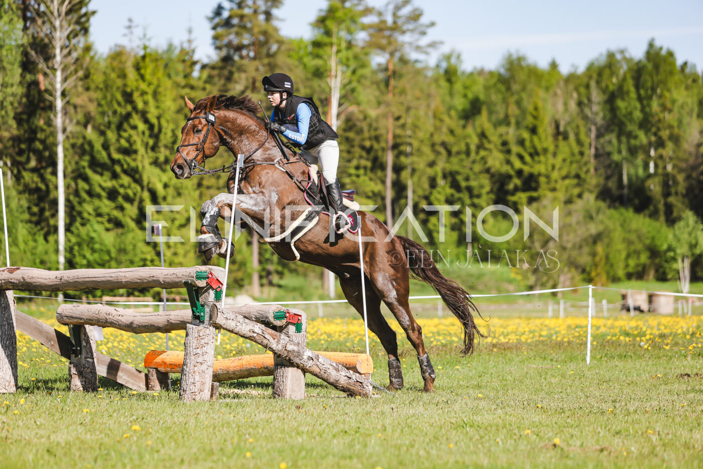 Parnu_CHI_3V_2026_CCI2-S_XC_214