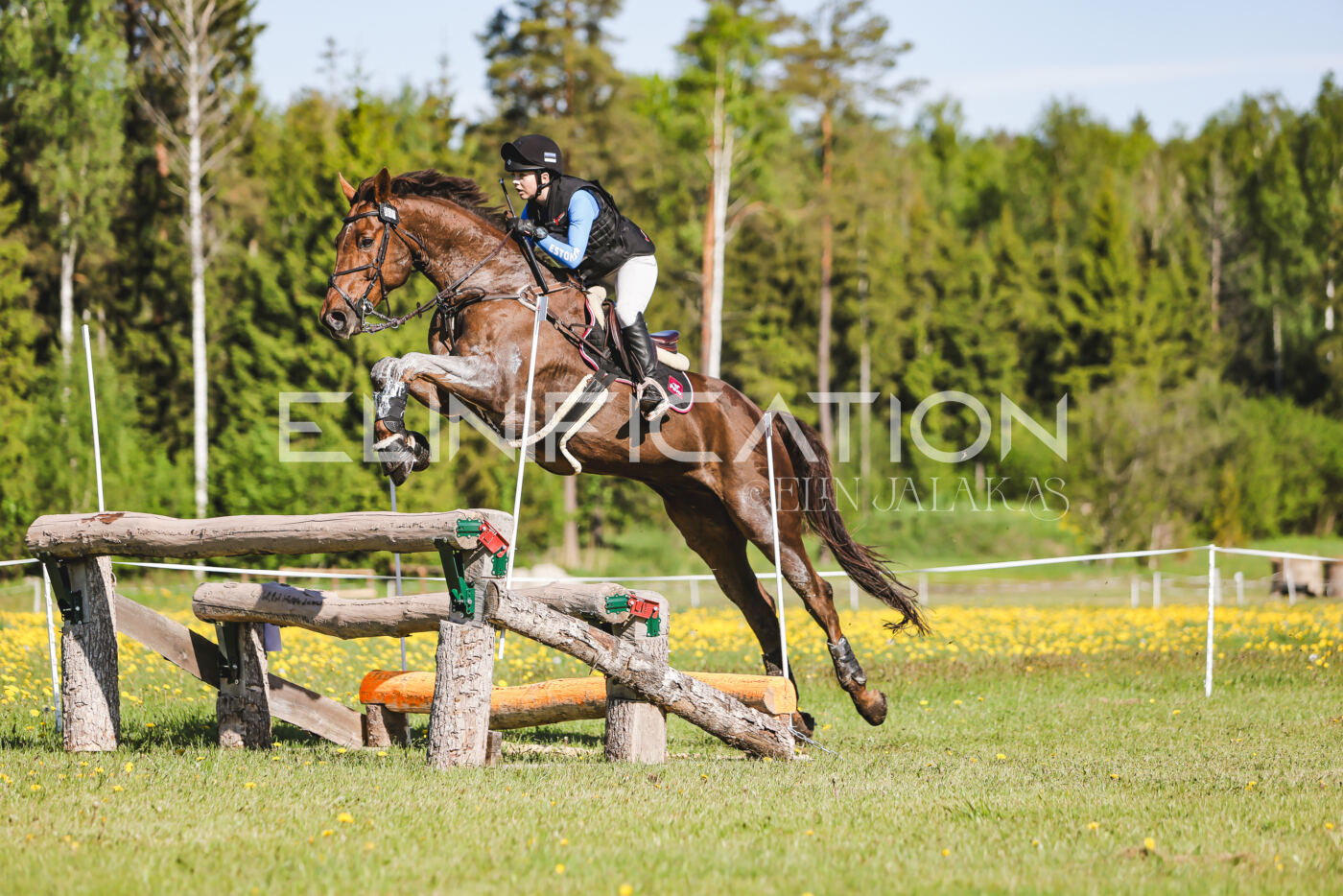 Parnu_CHI_3V_2026_CCI2-S_XC_215