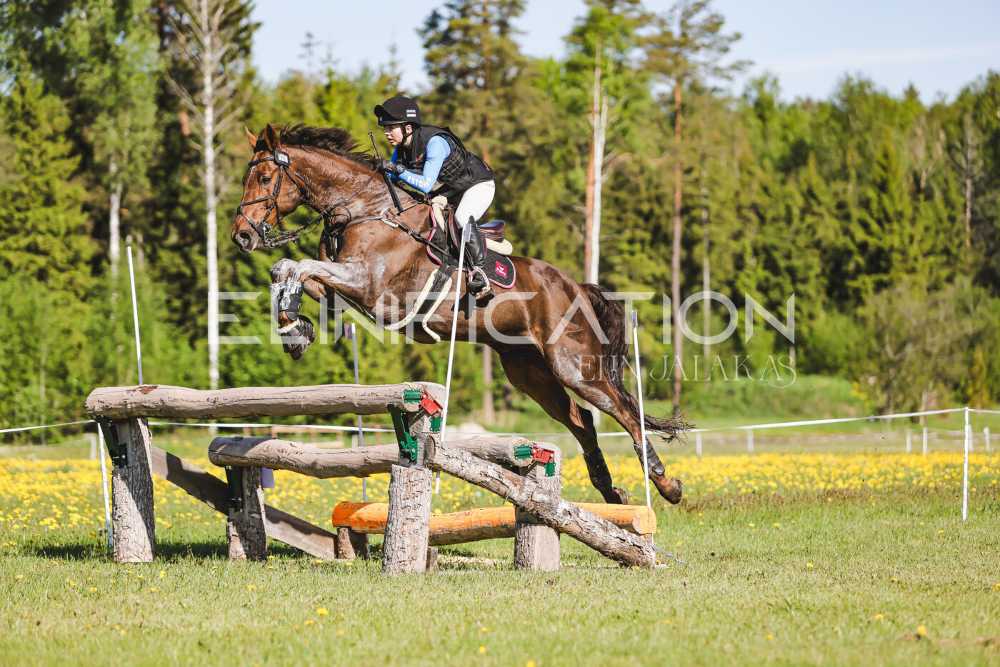 Parnu_CHI_3V_2026_CCI2-S_XC_216