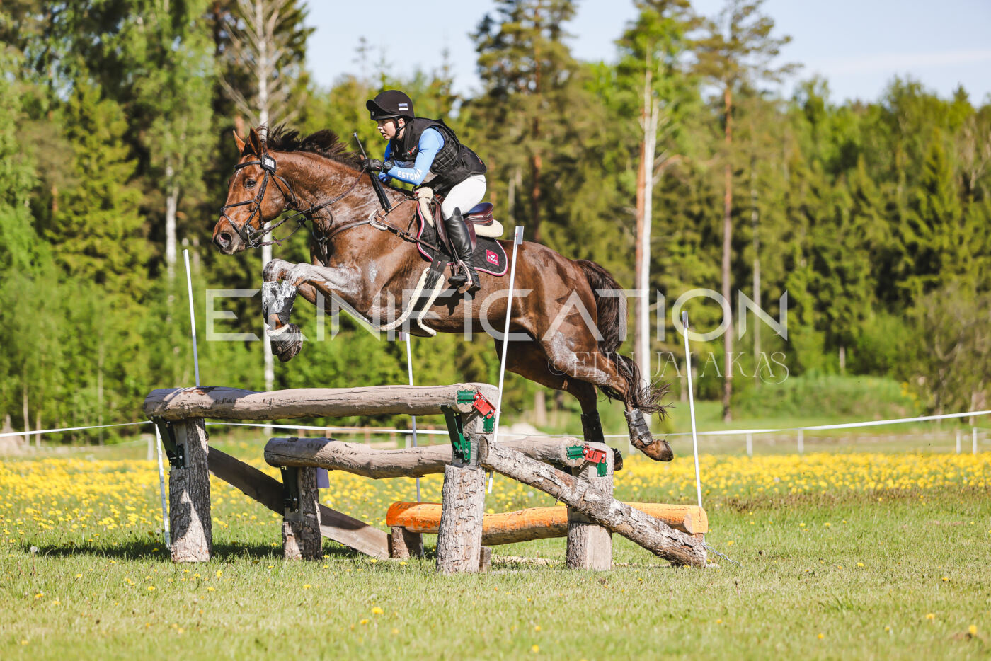 Parnu_CHI_3V_2026_CCI2-S_XC_217
