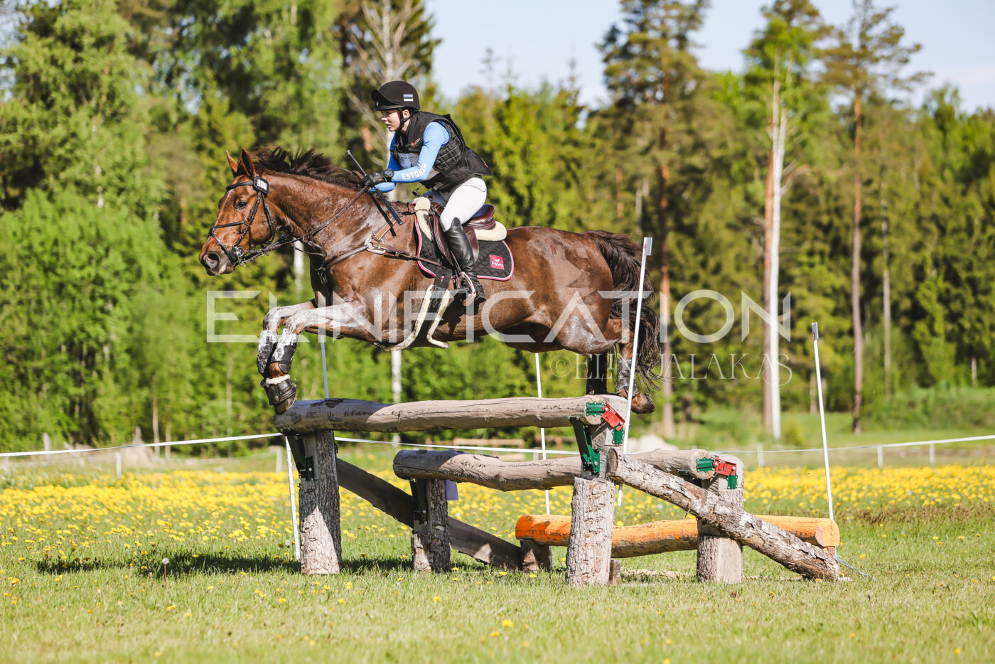 Parnu_CHI_3V_2026_CCI2-S_XC_219