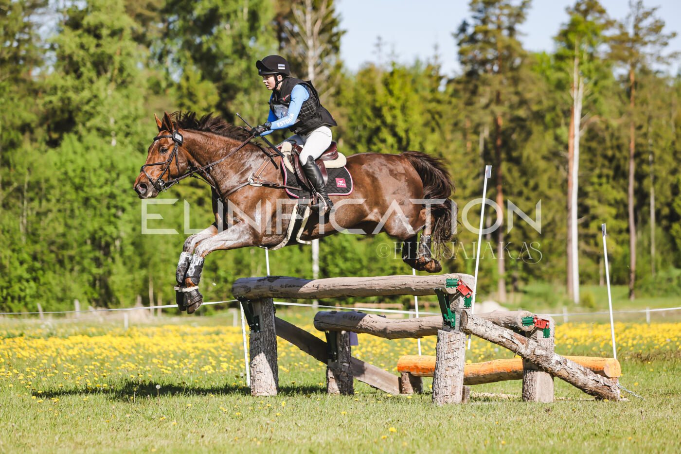 Parnu_CHI_3V_2026_CCI2-S_XC_220