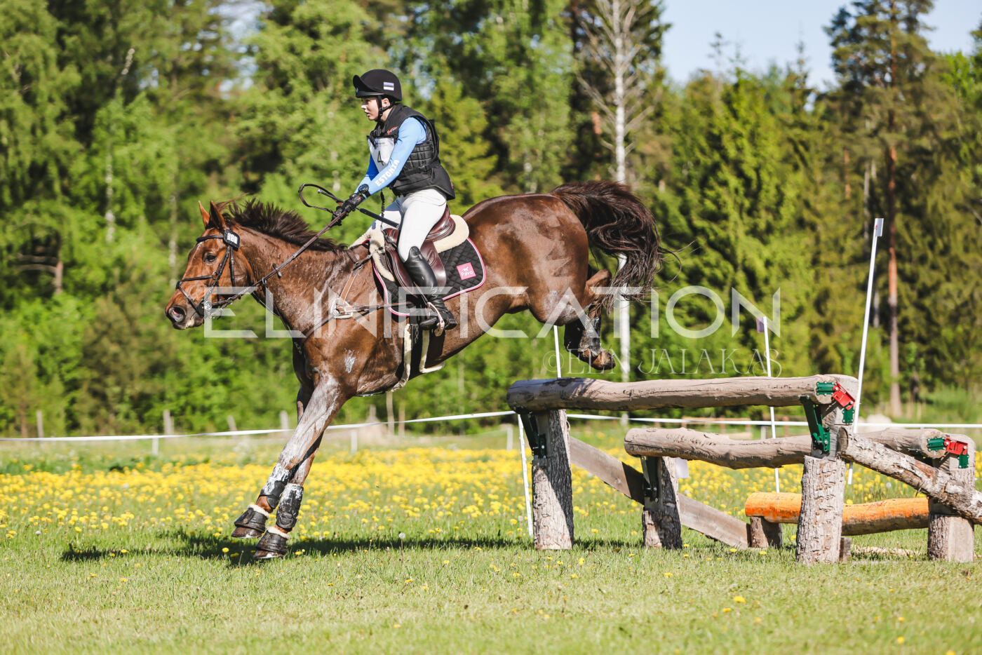 Parnu_CHI_3V_2026_CCI2-S_XC_223