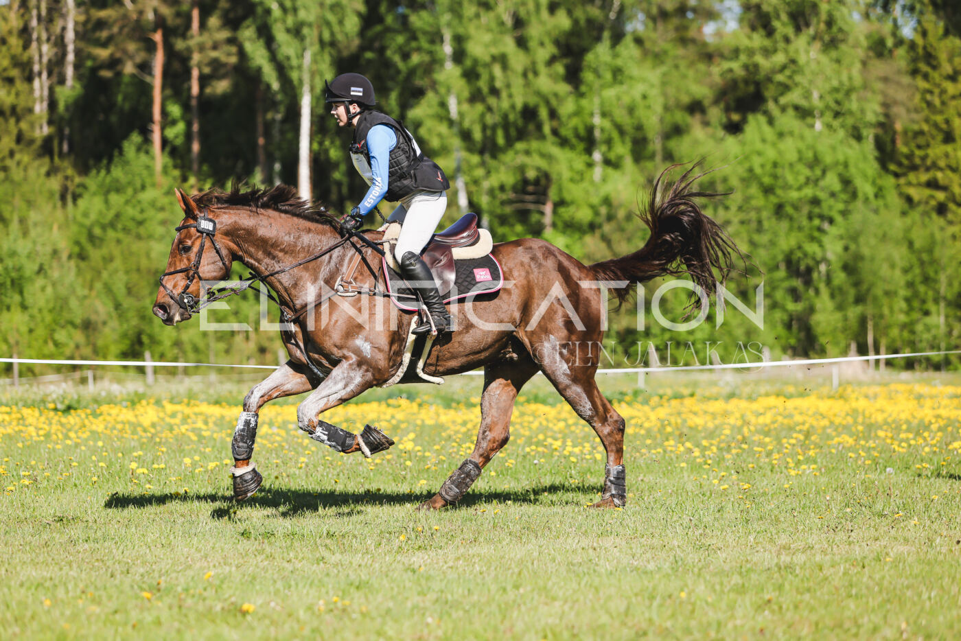 Parnu_CHI_3V_2026_CCI2-S_XC_224
