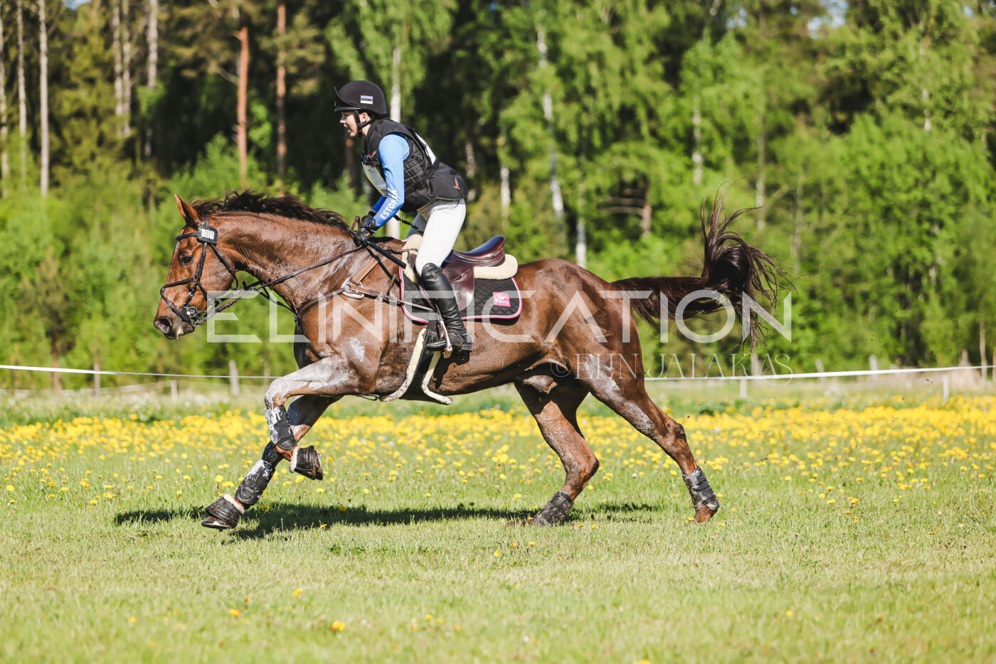 Parnu_CHI_3V_2026_CCI2-S_XC_225