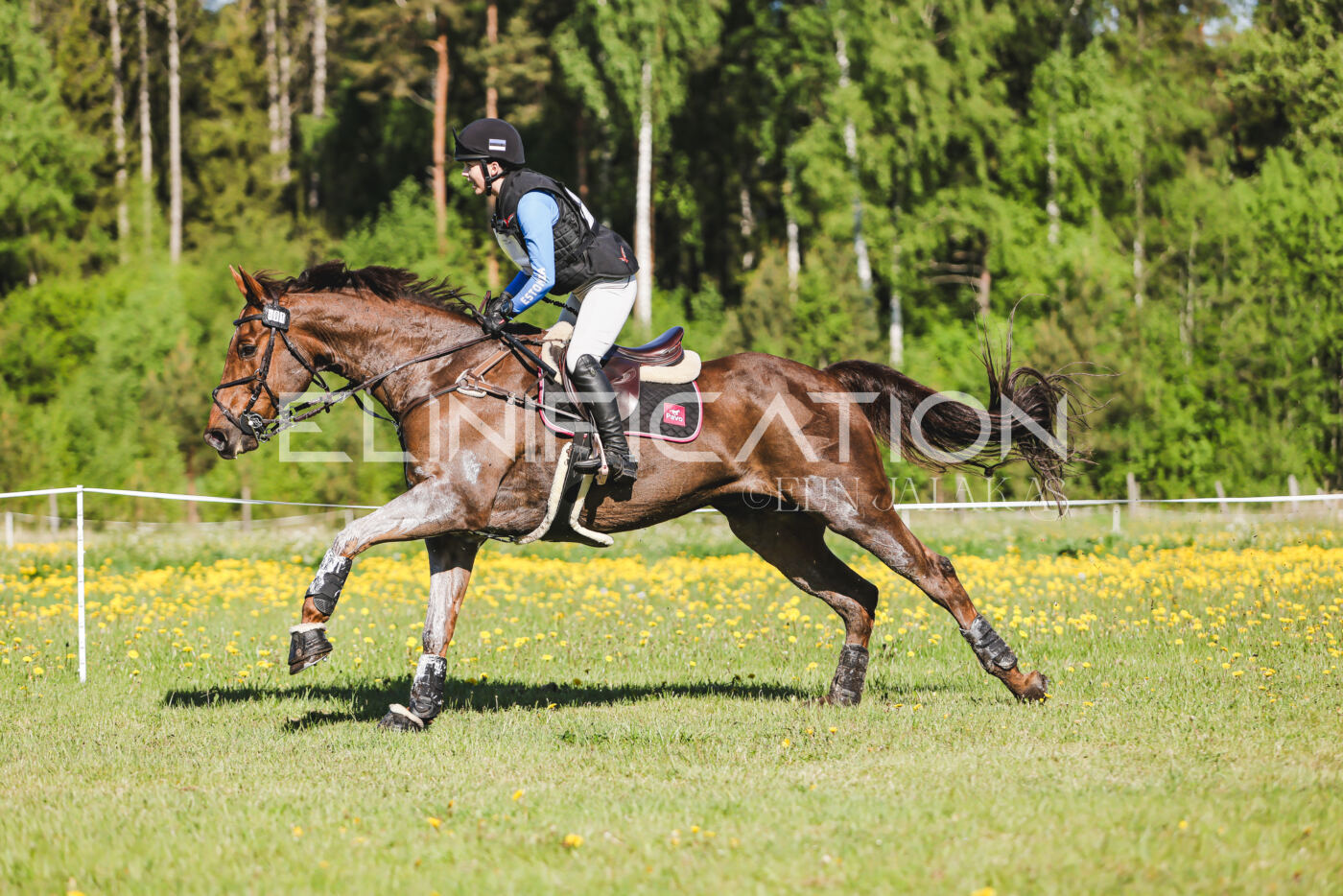 Parnu_CHI_3V_2026_CCI2-S_XC_226
