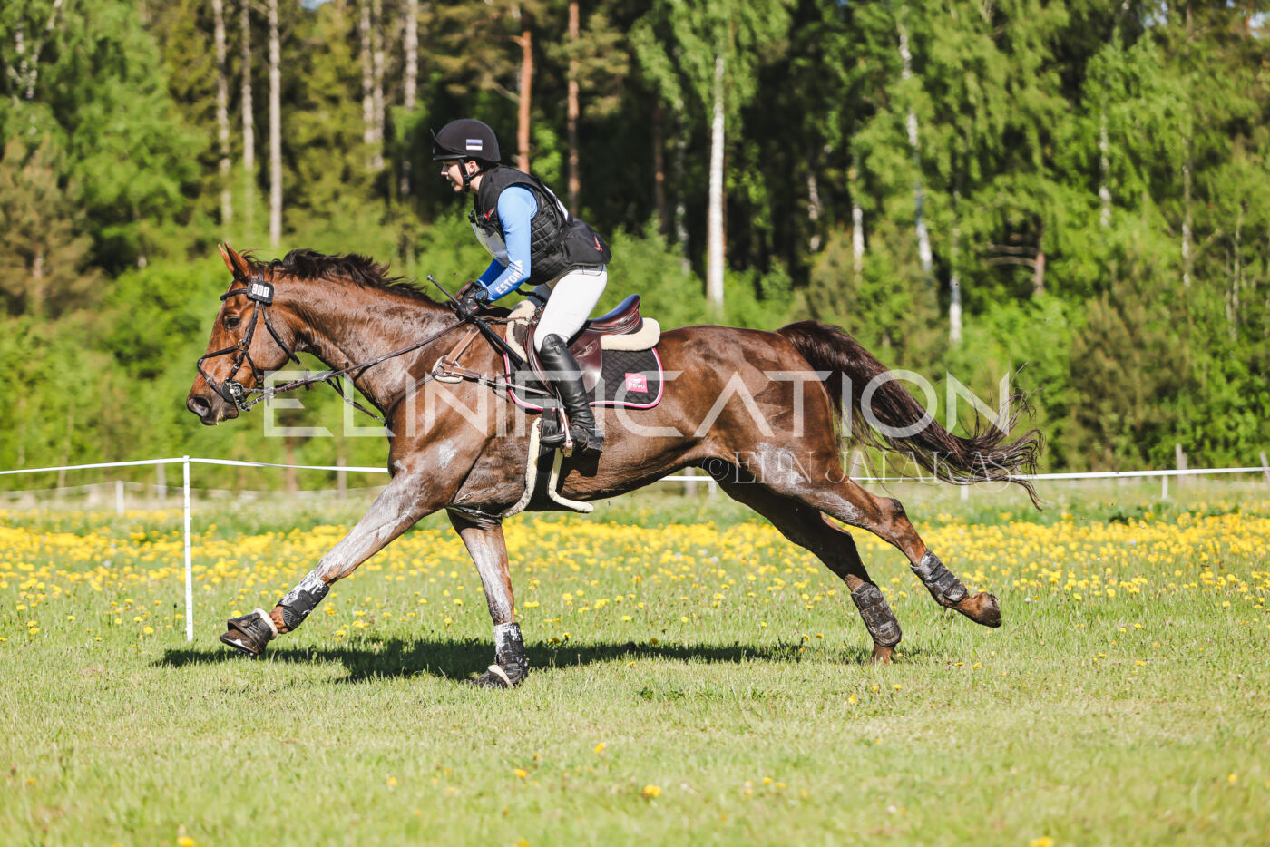 Parnu_CHI_3V_2026_CCI2-S_XC_227