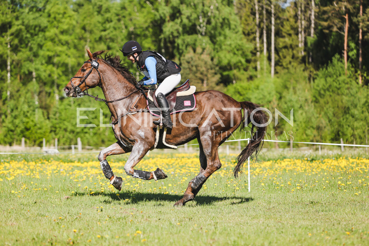 Parnu_CHI_3V_2026_CCI2-S_XC_228