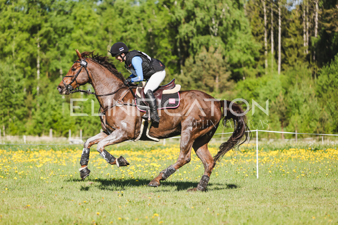 Parnu_CHI_3V_2026_CCI2-S_XC_229