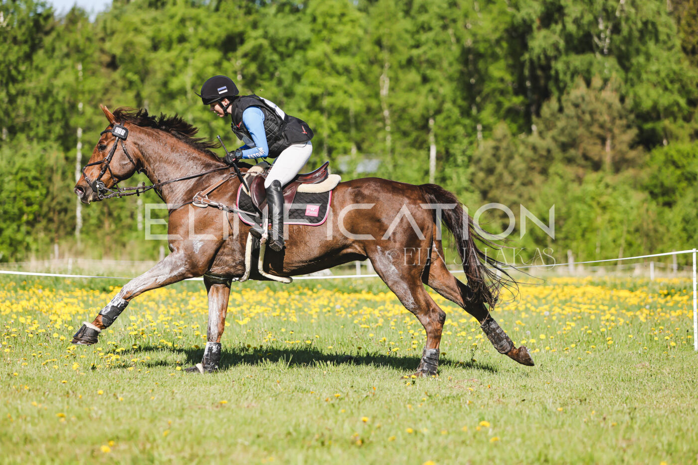 Parnu_CHI_3V_2026_CCI2-S_XC_230