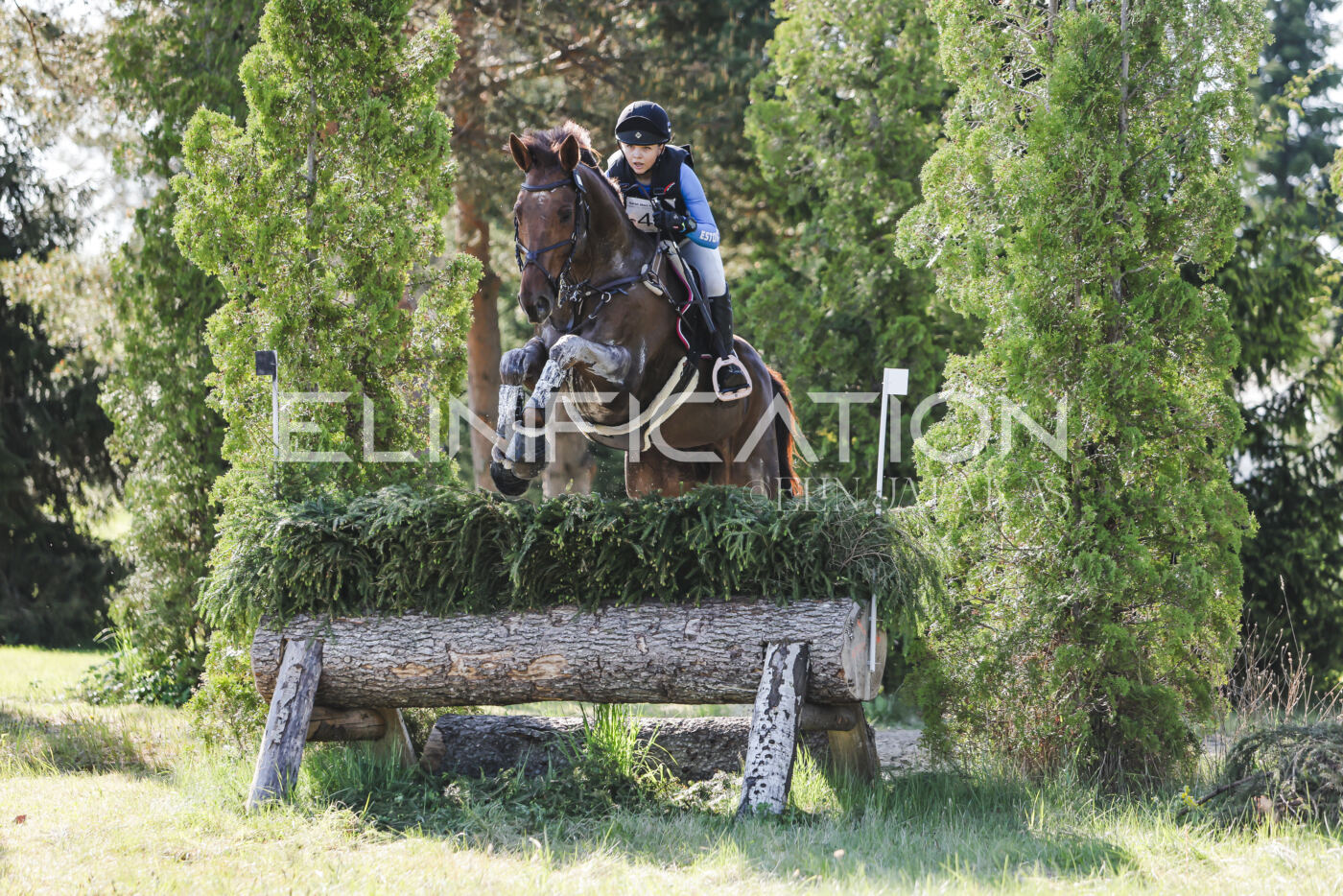 Parnu_CHI_3V_2026_CCI2-S_XC_231